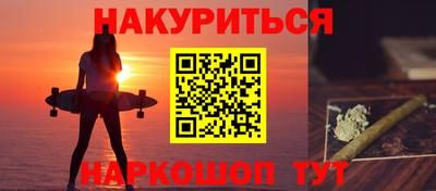 индика Новозыбков