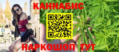 индика Новозыбков