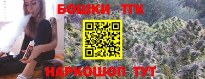 индика Новозыбков