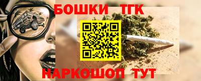 индика Новозыбков