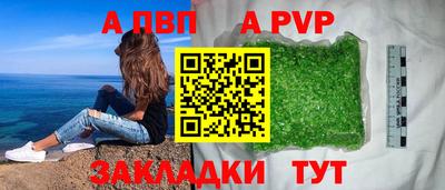 индика Новозыбков
