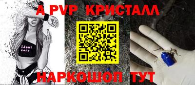 индика Новозыбков