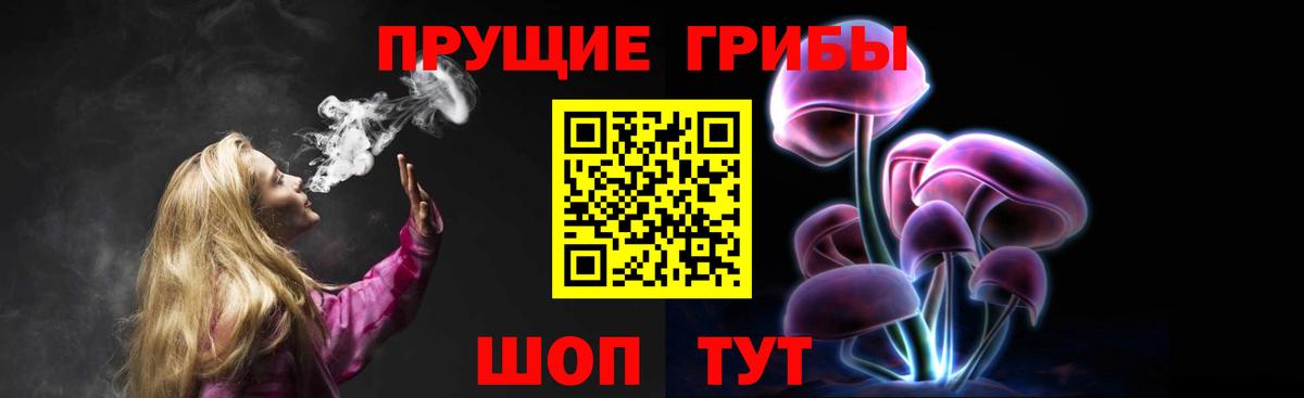 Псилоцибиновые грибы Psilocybine cubensis  Вход с VPN  Карталы  Псилоцибиновые грибы мухоморы 